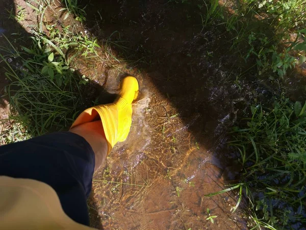 unknown person wearing yellow boot walking into the flooded farm.