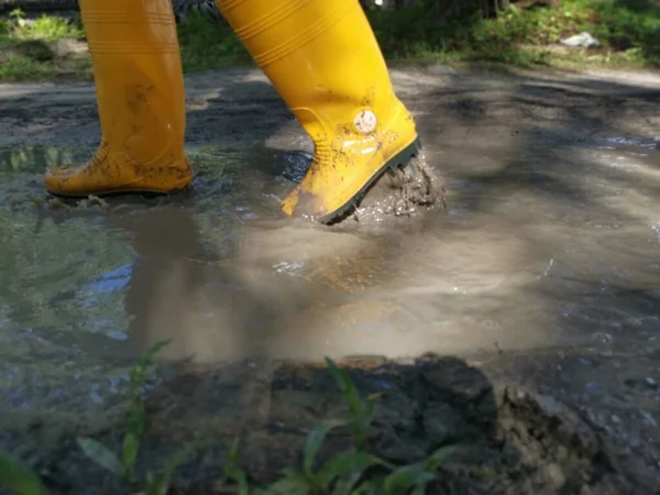 Unknown Person Wearing Yellow Boot Walking Flooded Farm — Stock Photo, Image