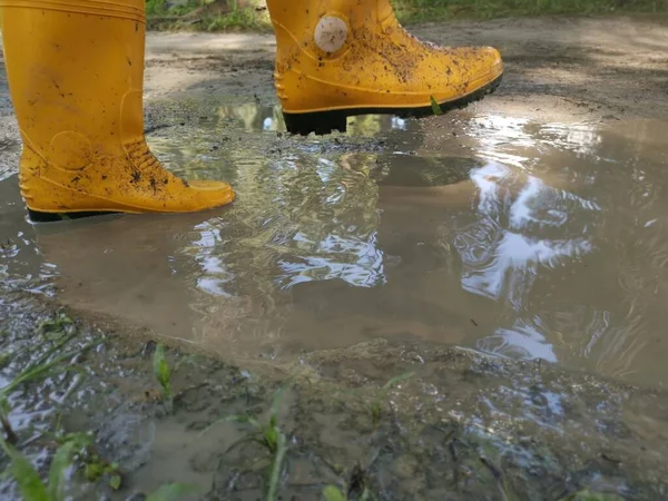 Pessoa Desconhecida Usando Bota Amarela Andando Fazenda Inundada — Fotografia de Stock