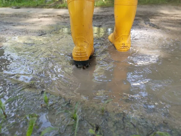 Persona Desconocida Con Bota Amarilla Caminando Granja Inundada — Foto de Stock