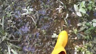 Bilinmeyen kişi sarı çizme giyiyor, sel basmış çiftliğe doğru yürüyor..