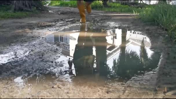 Άγνωστο Άτομο Που Φοράει Κίτρινη Μπότα Περπατώντας Στο Πλημμυρισμένο Αγρόκτημα — Αρχείο Βίντεο
