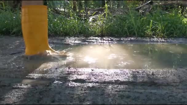 Persona Desconocida Con Bota Amarilla Caminando Granja Inundada — Vídeo de stock