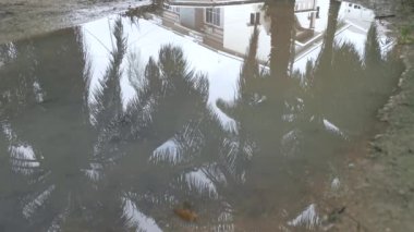 Deri ayakkabılı bir adam su havuzunda koşuyor..