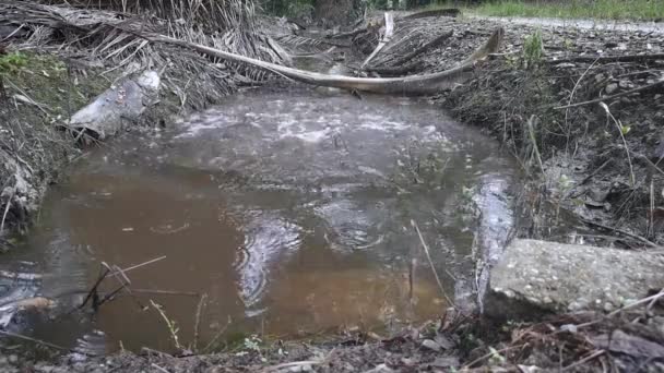 岩石击中肮脏泥泞池塘的水面 — 图库视频影像