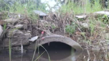 Çamurlu nehirdeki büyümenin yakın çekim sahnesi.