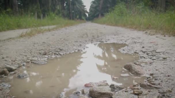 乡村道路上的轮胎轨道水坑上的特写场景 — 图库视频影像