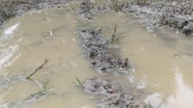 Kırsal yolda bırakılan tekerlek izi birikintisinde yakın çekim sahnesi..