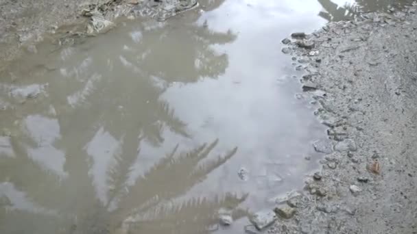 乡村道路上的轮胎轨道水坑上的特写场景 — 图库视频影像