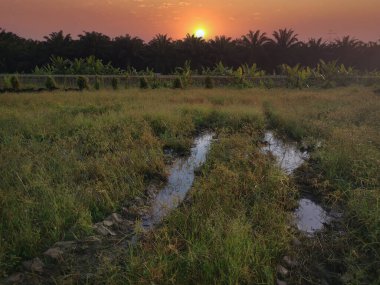Vahşi çayırlarda güzel bir hava manzarası..
