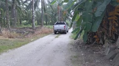 Perak, Malezya. 31 Aralık 2020: Kampong Koh Oil Palm Çiftliği kırsal yol üzerinde seyahat eden yerel bir kamyonun görüntüsü.