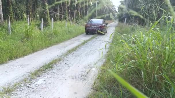 Perak Malaysia 2020 Desember Adegan Perjalanan Mobil Lokal Jalan Perdesaan — Stok Video