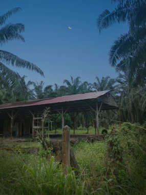 Çiftlikteki harap olmuş eski evin manzarası..