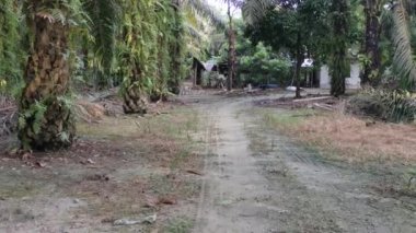 Çiftlikte terk edilmiş eski bir ev..