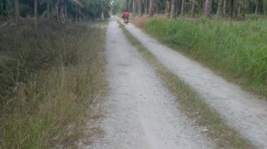 Perak, Malezya. 31 Aralık 2020: Kampong Koh Oil Palm Tarım Çiftliği kırsal yol üzerinde seyahat eden yerel motosiklet manzarası.