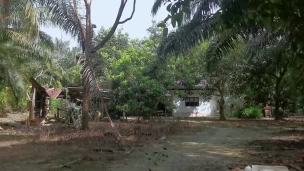 Velha Casa Abandonada Deserta Plantação — Vídeo de Stock