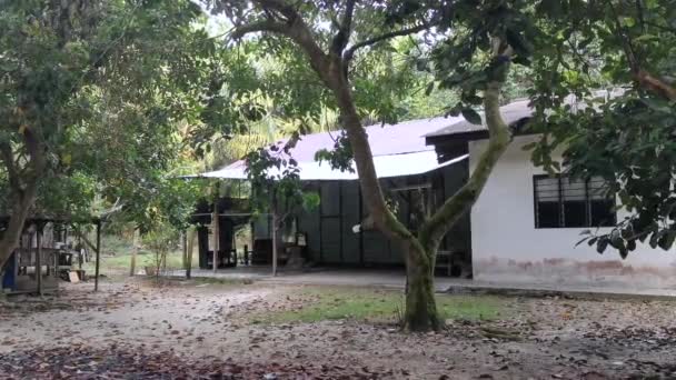 Vieja Casa Abandonada Desierta Plantación — Vídeos de Stock