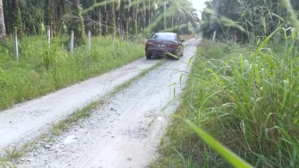 マレーシアのパーク 2020年 平成32年 12月31日 カンポン コオイル パーム プランテーション農園の農村道を走行する普通車の様子 — ストック動画