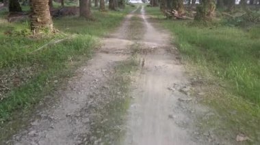 İleri hareket, tarla yolunda yürü..