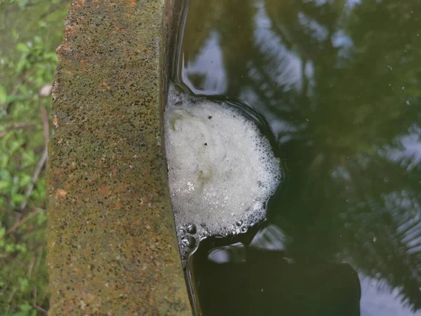 青蛙蛋泡沫巢漂浮在水面上 — 图库照片