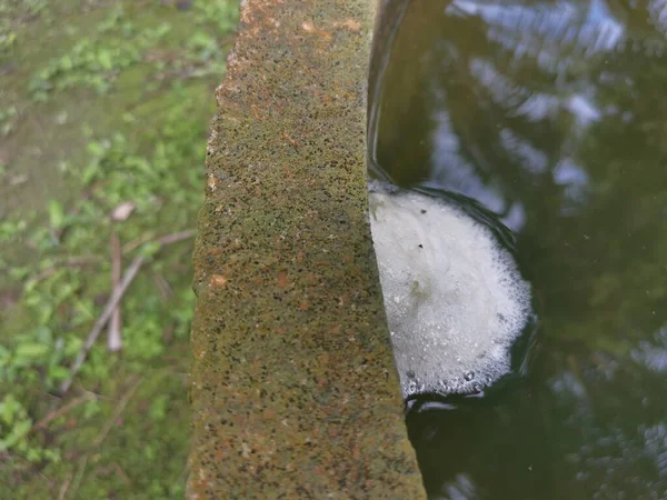 青蛙蛋泡沫巢漂浮在水面上 — 图库照片