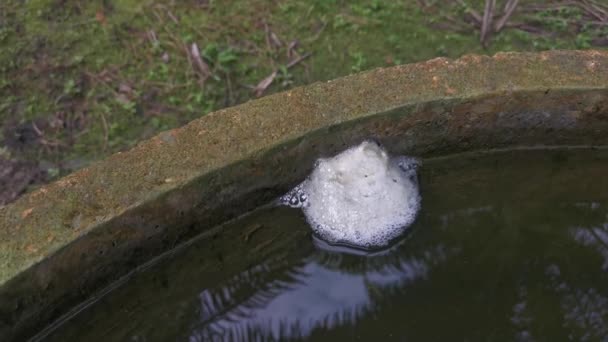 水面に浮かぶカエルの卵の泡の巣 — ストック動画