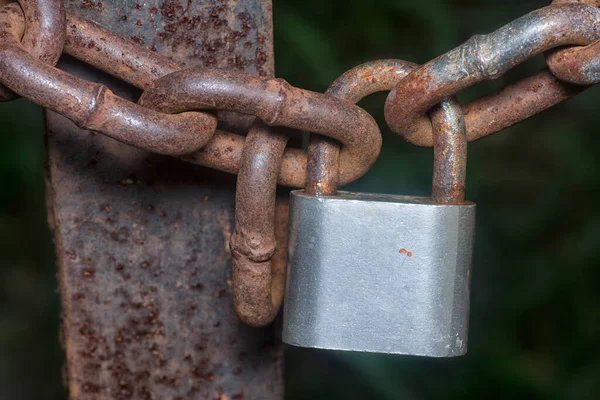 Rusty Metallic Chain Padlock Entrance Gate — Stock Photo, Image