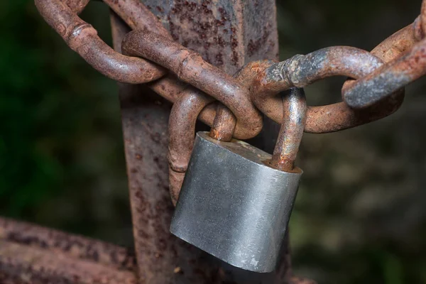 Rusty Metallic Chain Padlock Entrance Gate — Stock Photo, Image