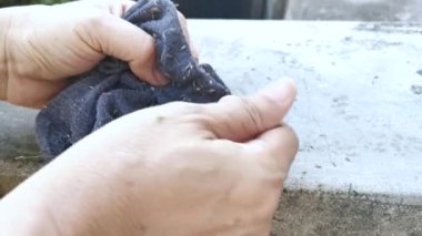 Koyu gri çoraba yapışmış krisopogon aciculatus.