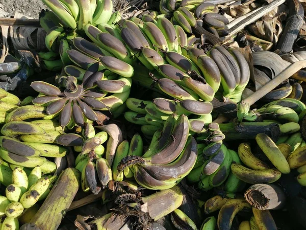腐った果物の山や地面にバナナの実を捨てる — ストック写真
