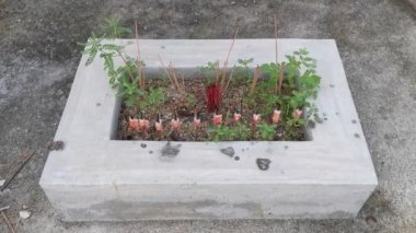 Çinlilerin tanrılarına saygı duymaları için yanan tütsü için basit bir dikdörtgen beton tur..