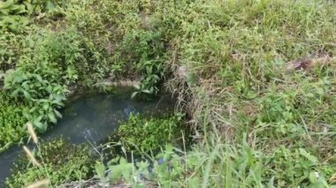 beton silindirik kanal drenajı aşırı büyüyen bitki ve otun yanında durgun kalır..