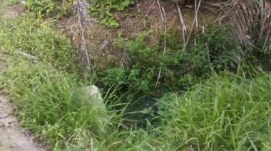 beton silindirik kanal drenajı aşırı büyüyen bitki ve otun yanında durgun kalır..