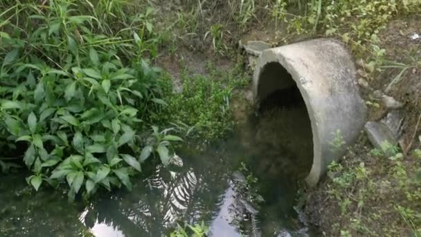 Escoamentos Concreto Cilíndrico Canal Drenagem Estagnada Pela Planta Crescimento Excessivo — Vídeo de Stock