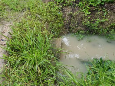 beton silindirik kanal drenajı aşırı büyüyen bitki ve otun yanında durgun kalır..