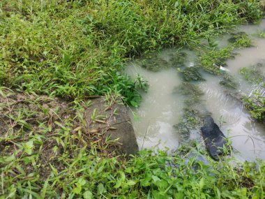 beton silindirik kanal drenajı aşırı büyüyen bitki ve otun yanında durgun kalır..