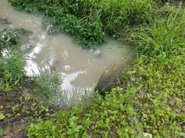 beton silindirik kanal drenajı aşırı büyüyen bitki ve otun yanında durgun kalır..