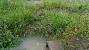 beton silindirik kanal drenajı aşırı büyüyen bitki ve otun yanında durgun kalır..