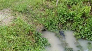 beton silindirik kanal drenajı aşırı büyüyen bitki ve otun yanında durgun kalır..