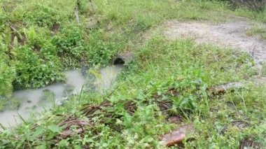 beton silindirik kanal drenajı aşırı büyüyen bitki ve otun yanında durgun kalır..