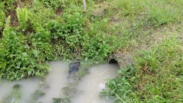 Betonnen Cilindrische Afvoer Van Kanalen Stagneert Door Overgroeiplant Onkruid — Stockvideo