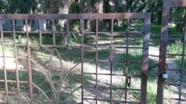 种植园中锈蚀的褐色锈蚀金属门 — 图库视频影像