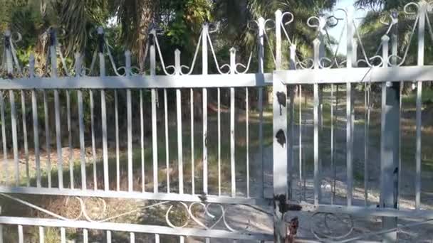 Corroded Brown Rusty Metal Gate Plantation — Stock Video