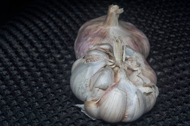 Allison sativum karanfil bitkisinin yakın çekimi..