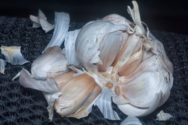 Allison sativum karanfil bitkisinin yakın çekimi..