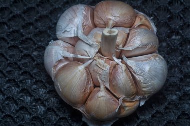 Allison sativum karanfil bitkisinin yakın çekimi..