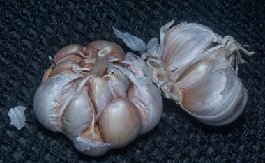 Allison sativum karanfil bitkisinin yakın çekimi..