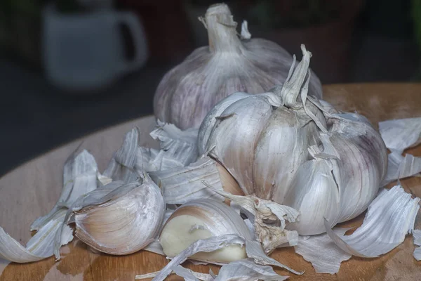 Κοντινή Λήψη Του Φυτού Allium Sativum Clove — Φωτογραφία Αρχείου