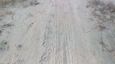 Kırsal kumlu yolda çeşitli ayak izleri var..