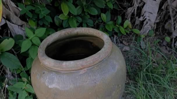 茂みに残された古い不要な大きなセラミック瓶は — ストック動画